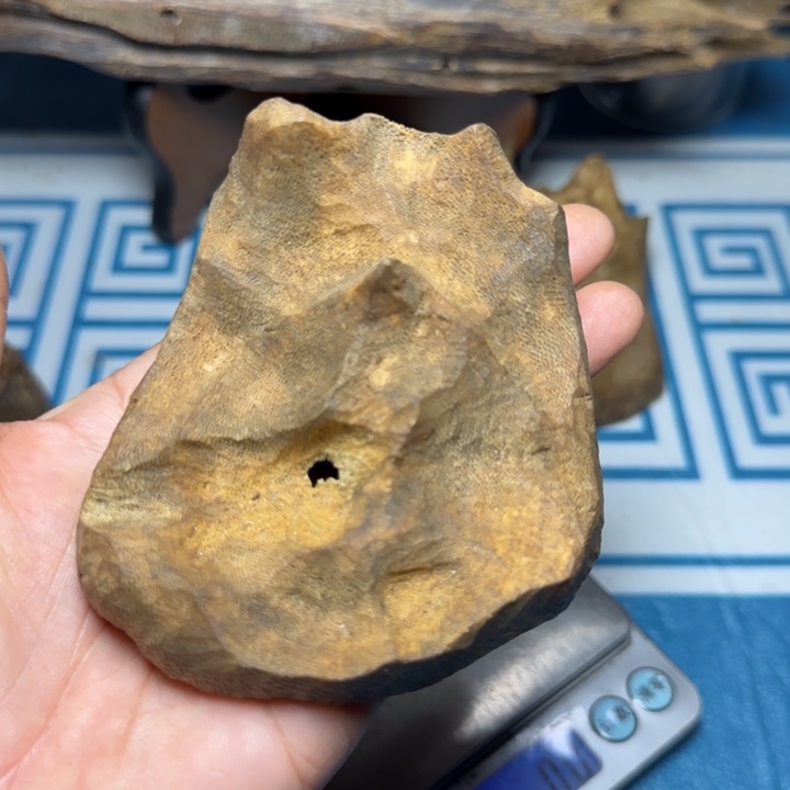 木质母树绿奇陆河包头40克