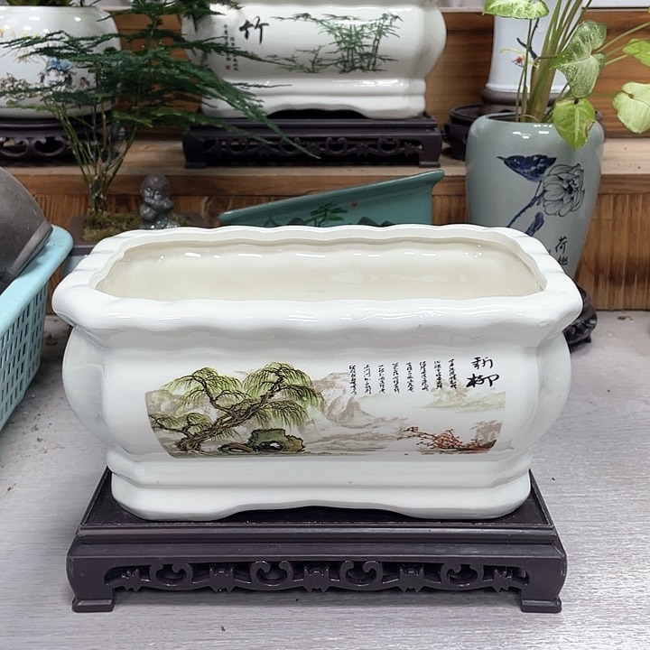 陶瓷花盆抢购福利活动