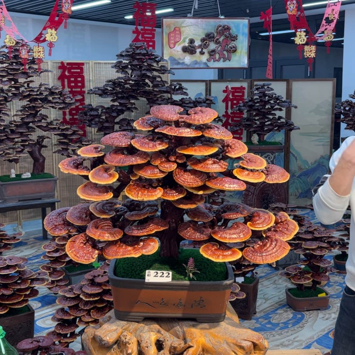 【闪购商品】888888