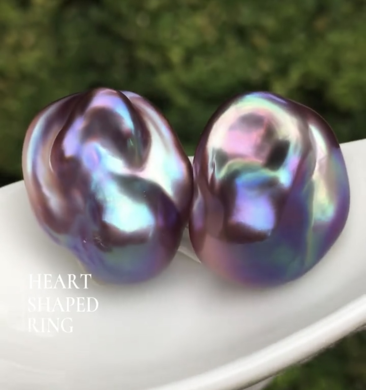 妖紫大巴洛克，活体开蚌，不退不换（可定制）