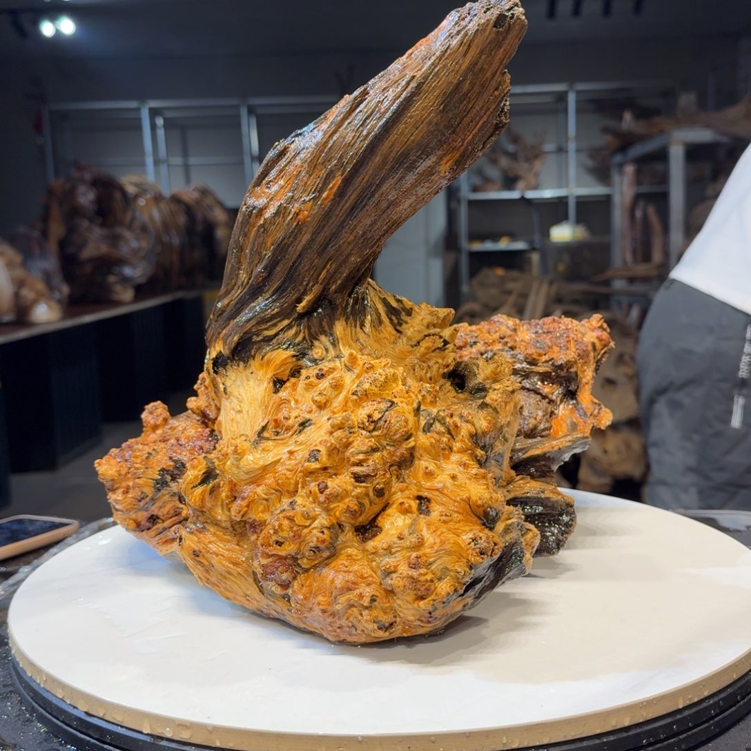 木齐*风王一刀琥珀木87