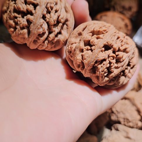 G***'文玩核桃吊坠48粗筋