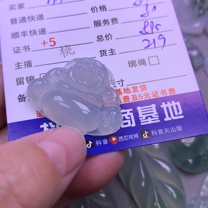 颈饰未镶嵌翡翠羽