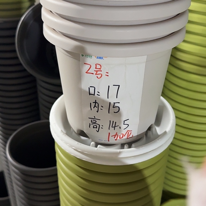 四季2号灰白带托10套