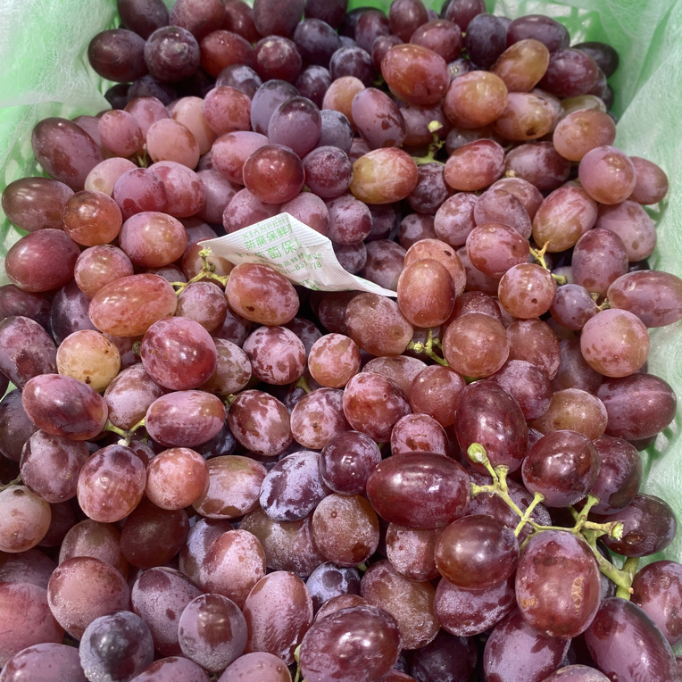 【水果】无籽红提四斤陕西省