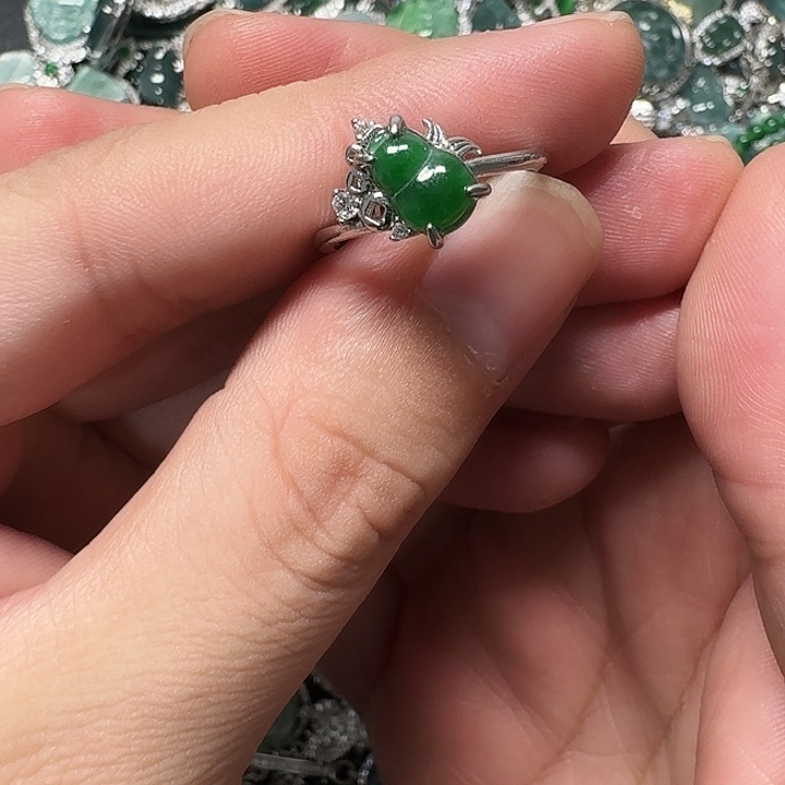 翡翠未镶嵌颈饰天然A货翡翠放漏