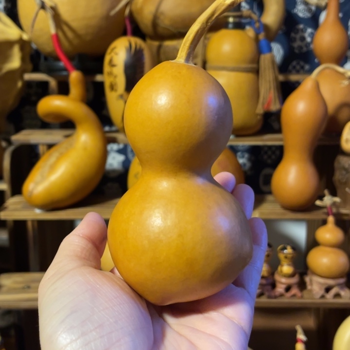 特价福利不退不换