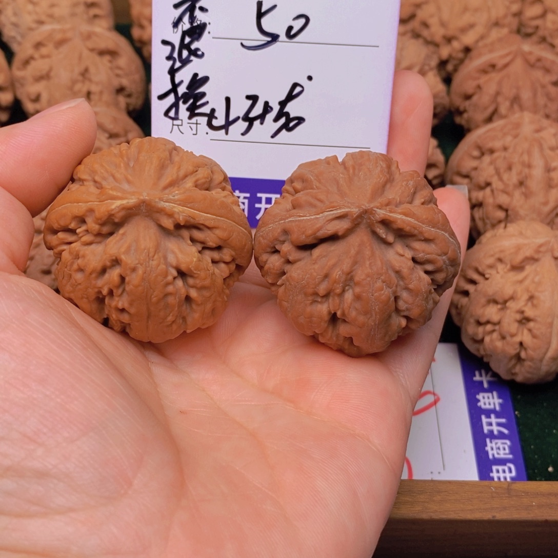 世***常文玩核桃霸王龙核桃