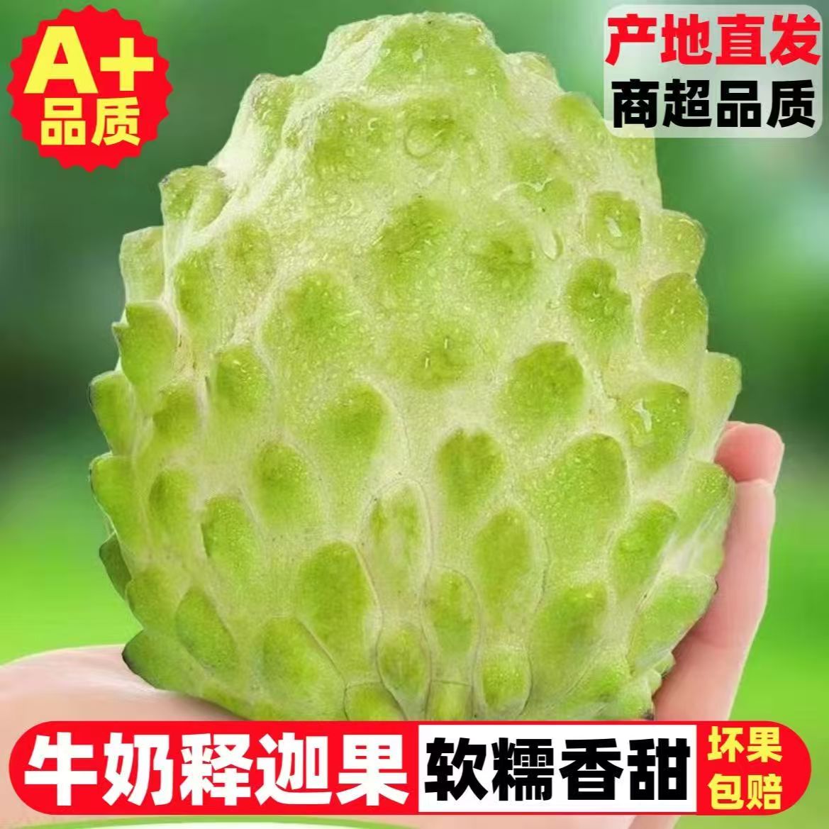 云南牛奶凤梨释迦果番荔枝新鲜采摘应季水果凤梨果佛头果凤梨释迦