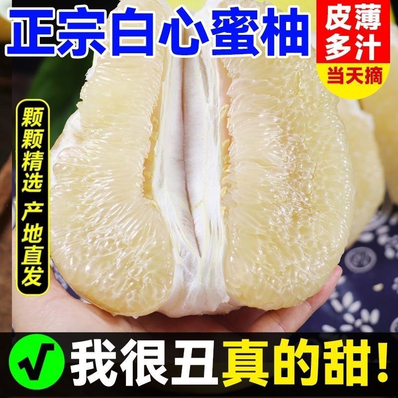 湖北宜昌农家种植白肉蜜柚新鲜现摘