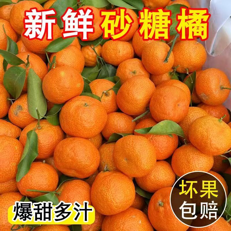 【正宗】广西砂糖橘当季新鲜皮薄多汁清香甜柑橘