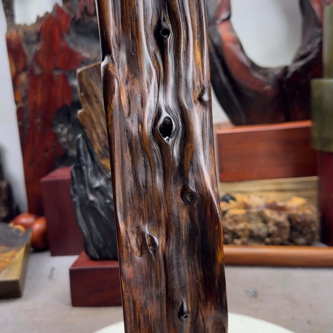 大果紫檀（缅甸花梨）树***勾