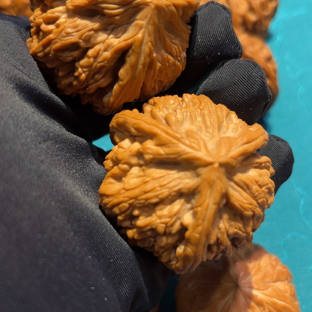 文玩核桃吊坠御龙粗筋