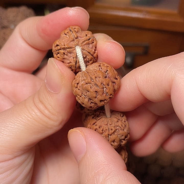 手串金刚菩提黄皮梅花20