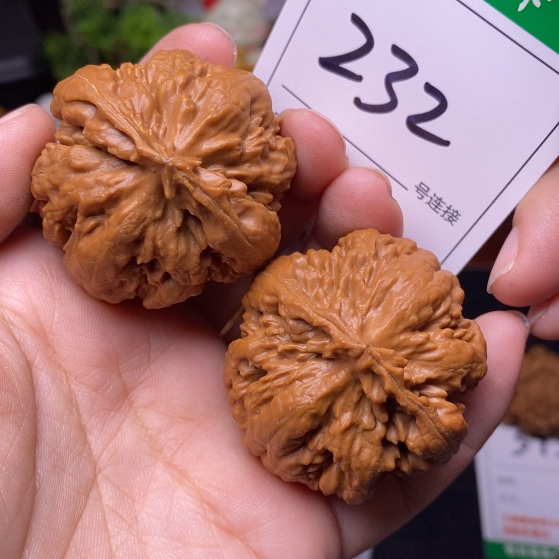 把件文玩核桃232霸王龙4.2
