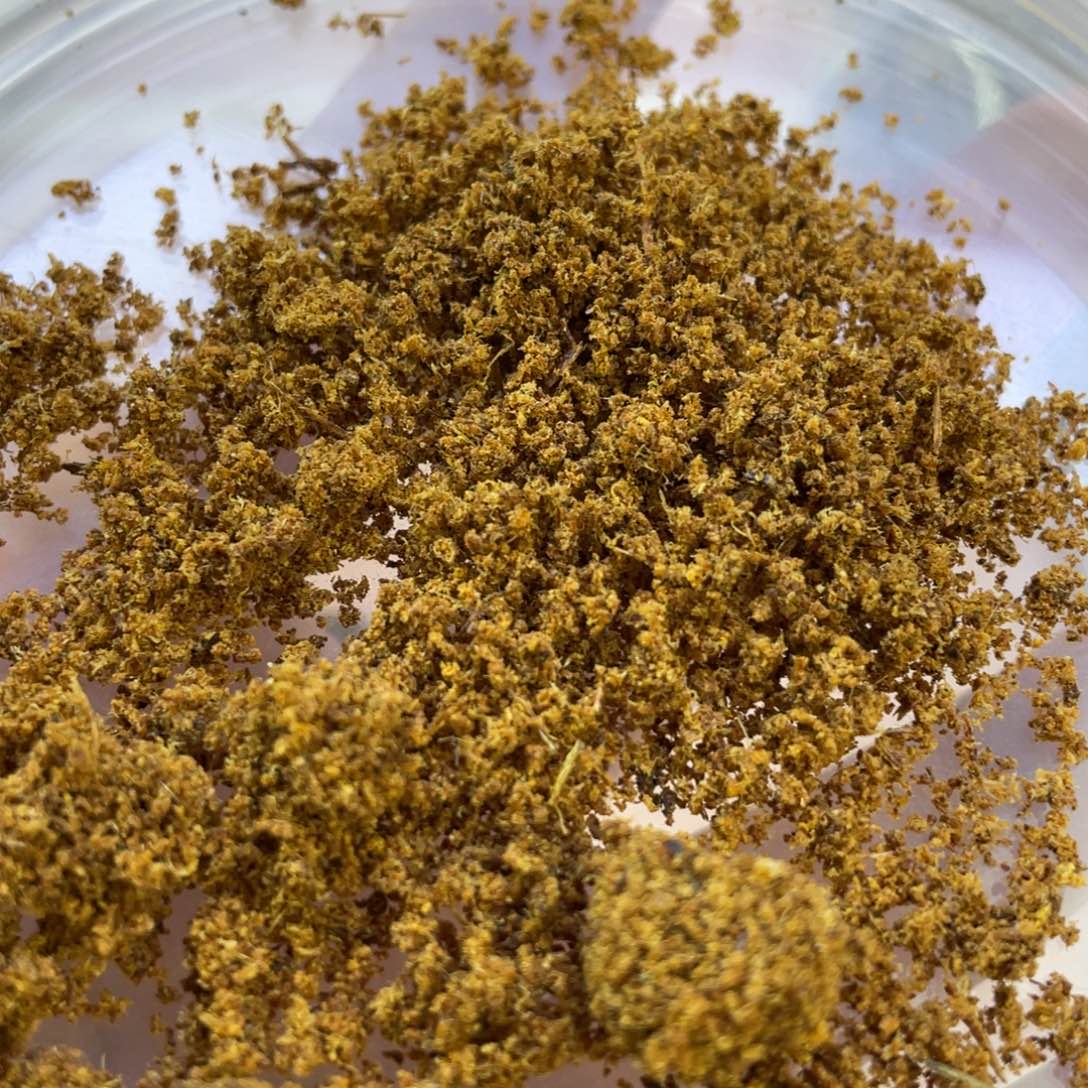 沉香碎屑沉香芽庄千年紫Q结晶C水粉0.1克碎料