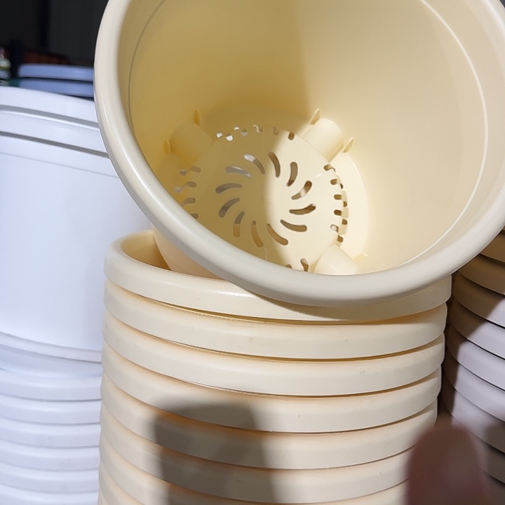 四季4号口径25米黄无托10个
