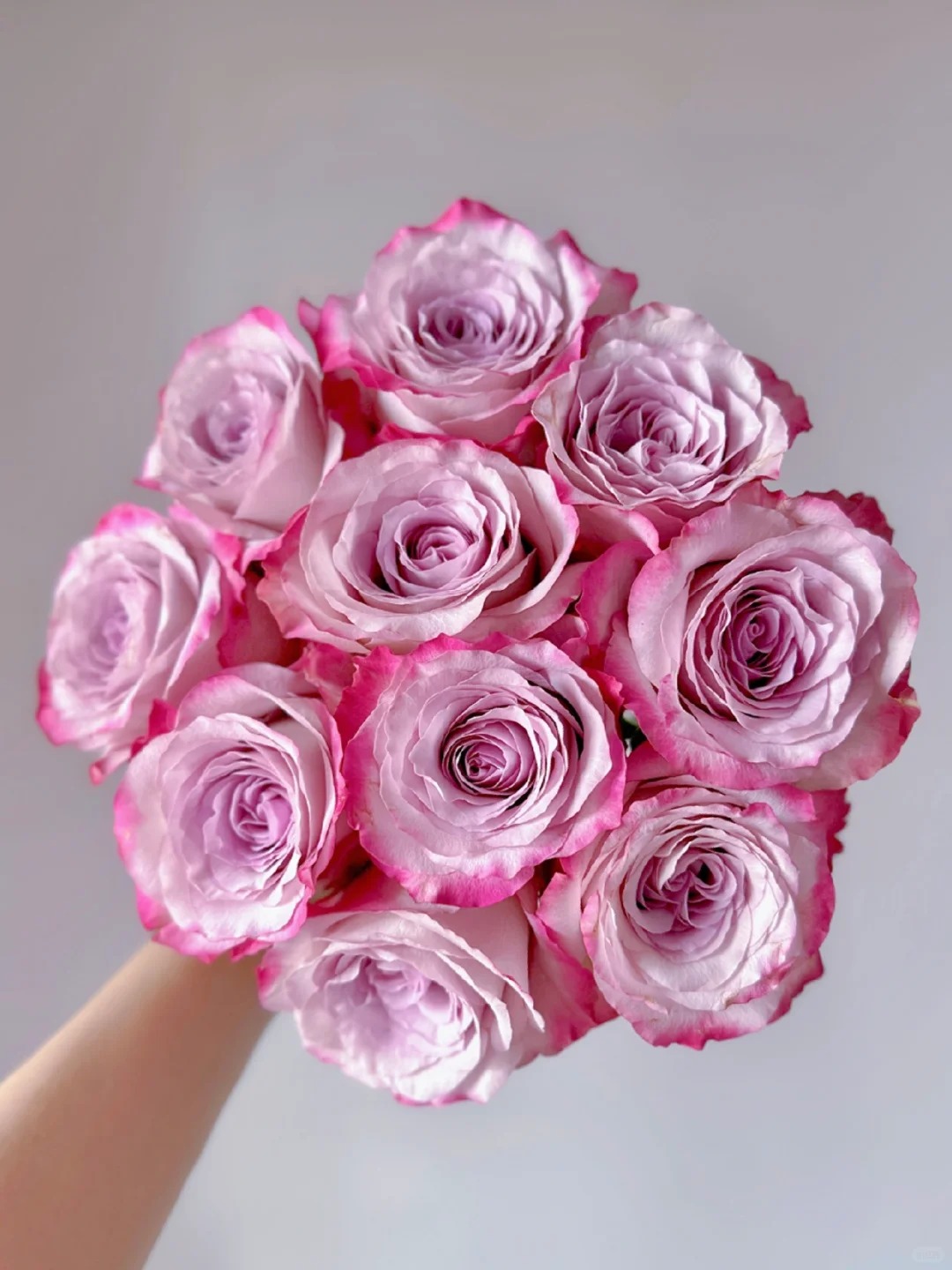 （蔓蔓）气场单头玫瑰15支+5支防损 1单包邮