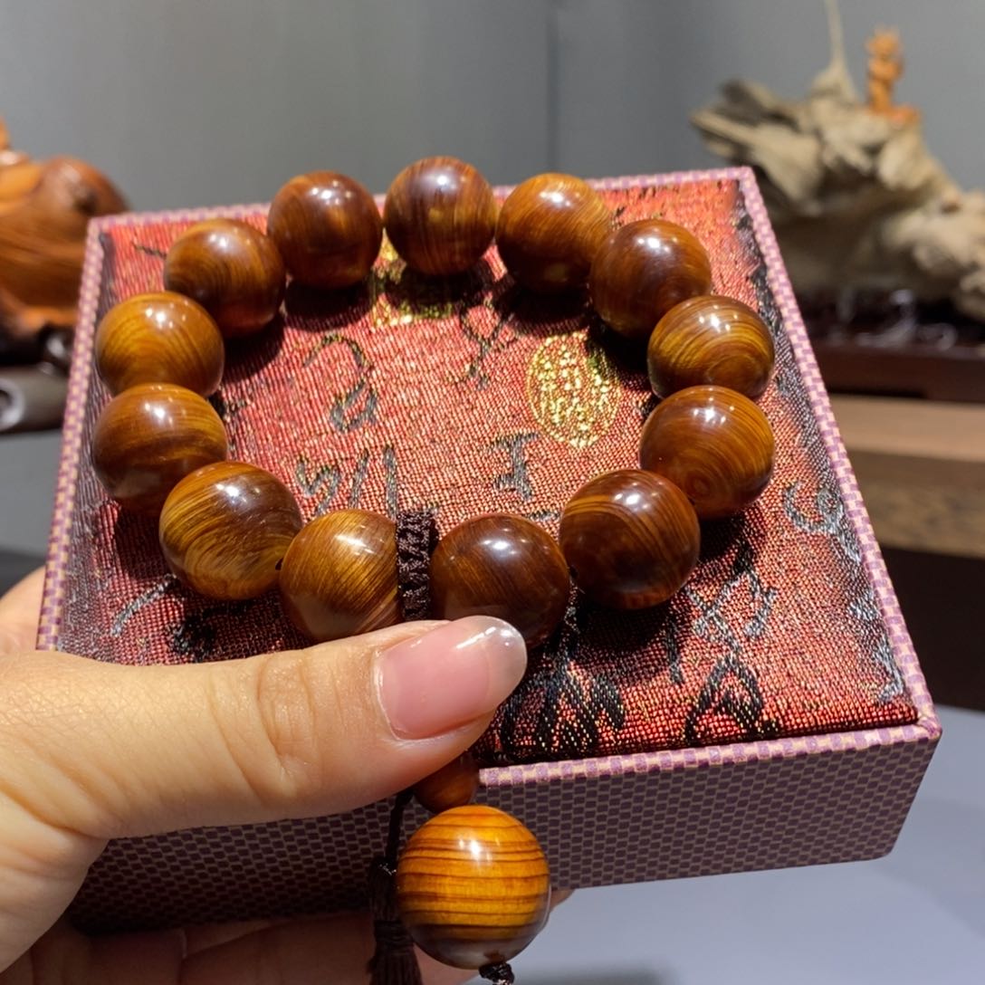 柏木111111111111111111