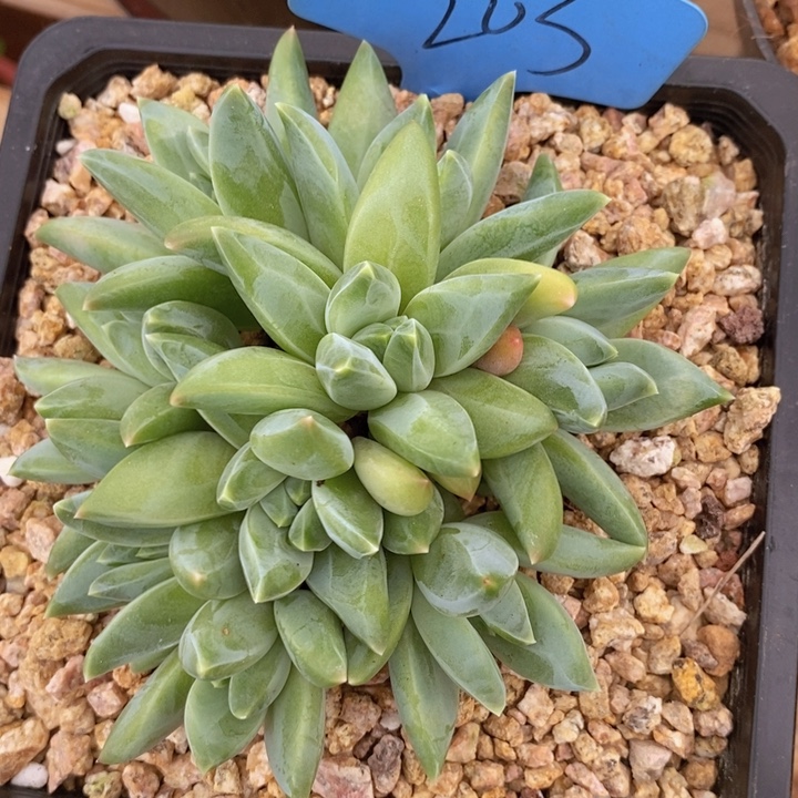 你要吃就去拿去咯