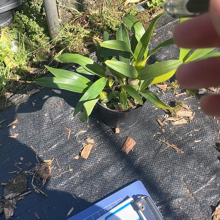 完全开放无需担心