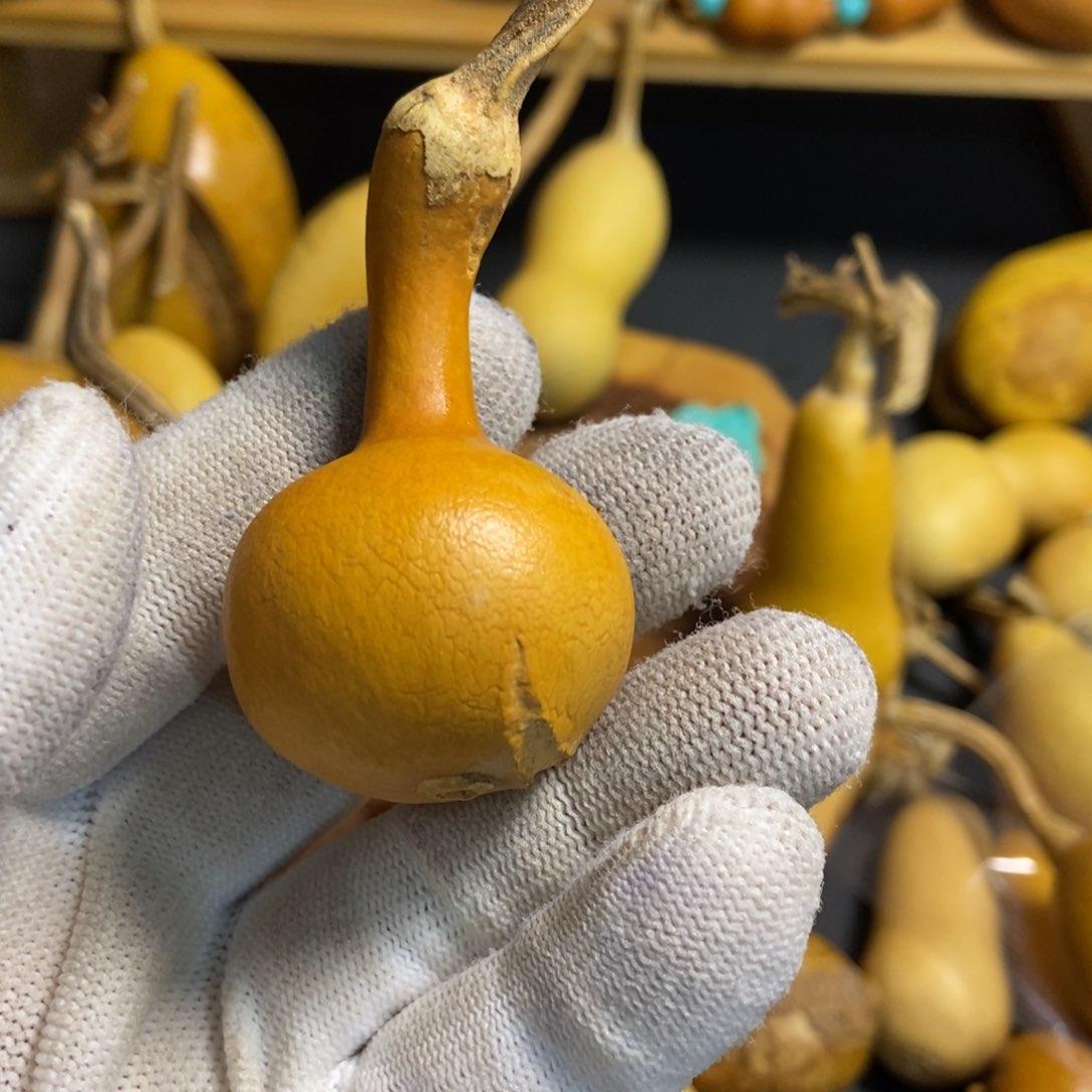 普*r葫芦葫芦真的