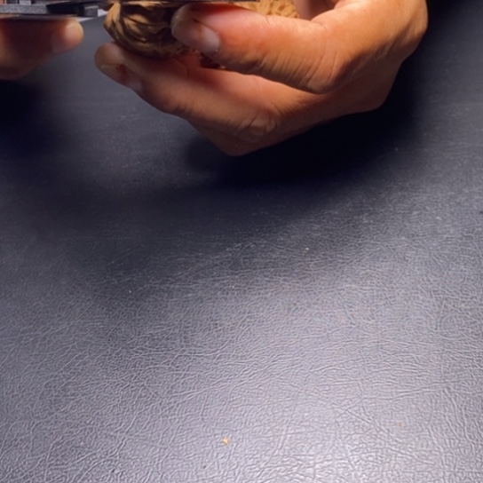 【闪购商品】把件文玩核桃