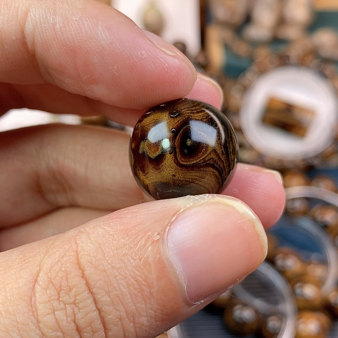 木纯天然海柳血柳1.8