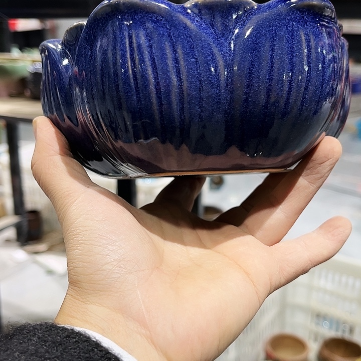 瓷片花盆福利多肉花盆