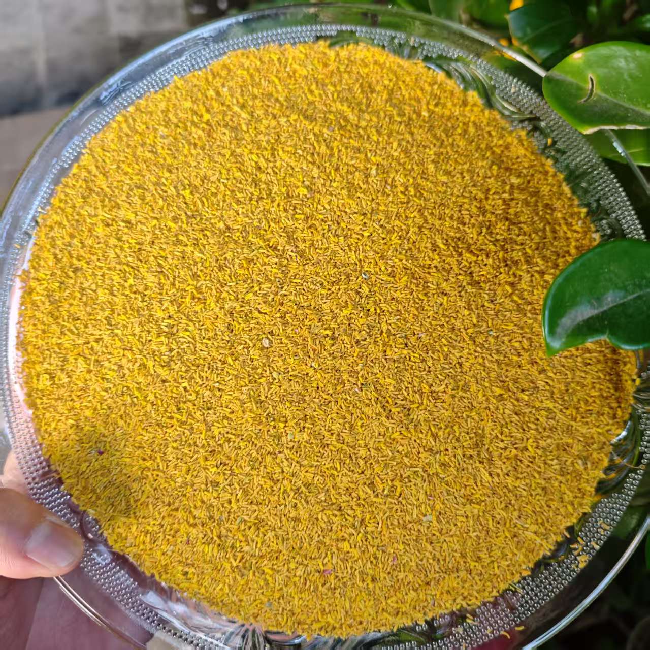 1【黄-金-蕊】净含量50g-500g【阿虎现收】菌