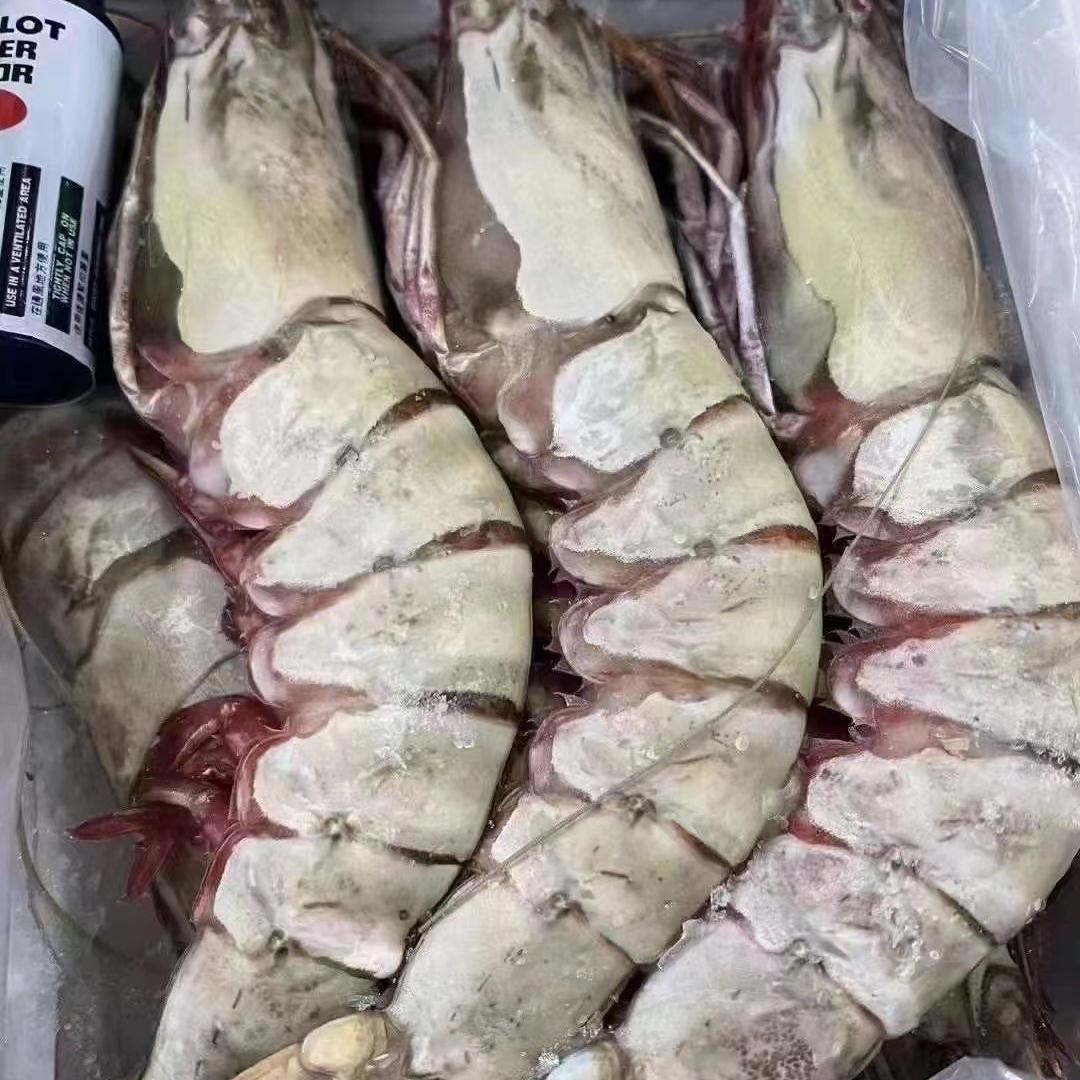 正宗海捕虎虾为虾中之冠鲜咸滋味、肉质弹牙