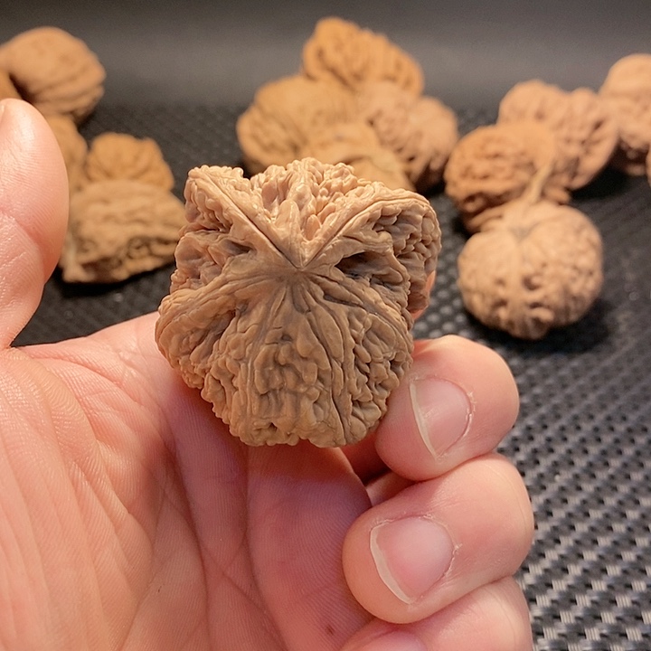 把件文玩核桃粗筋龟背小兔子