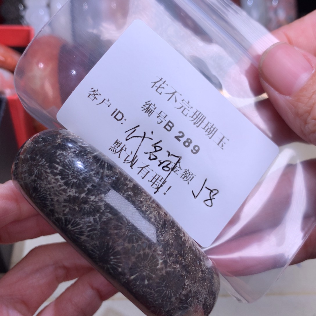 硅化玉颈饰未镶嵌代*词