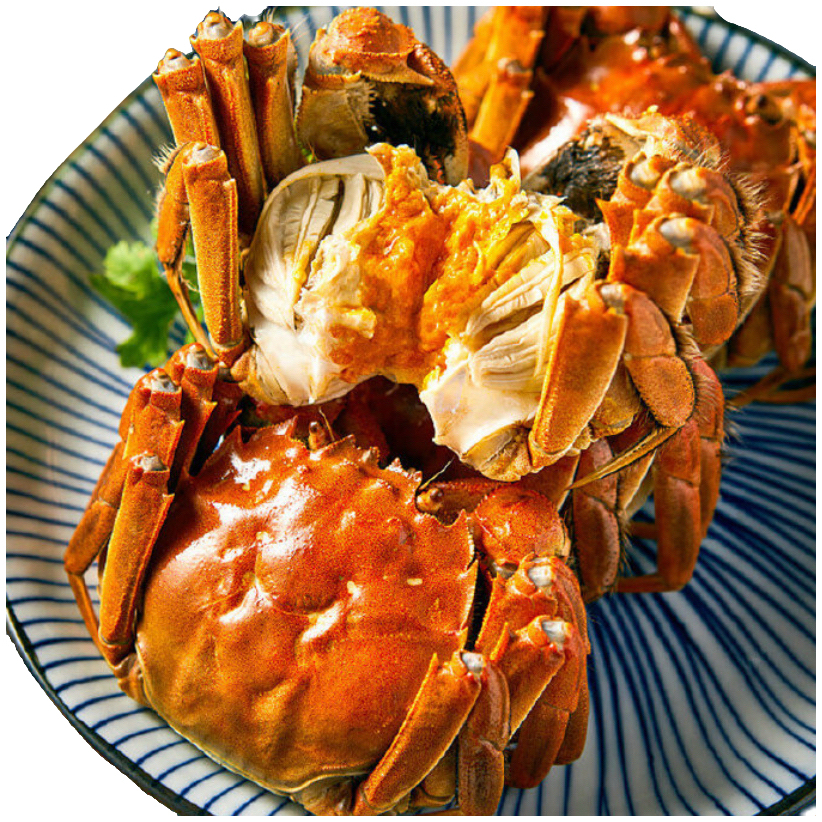   新品【牛健健甄选】2.0母精品蟹到手8+2只鲜活包邮