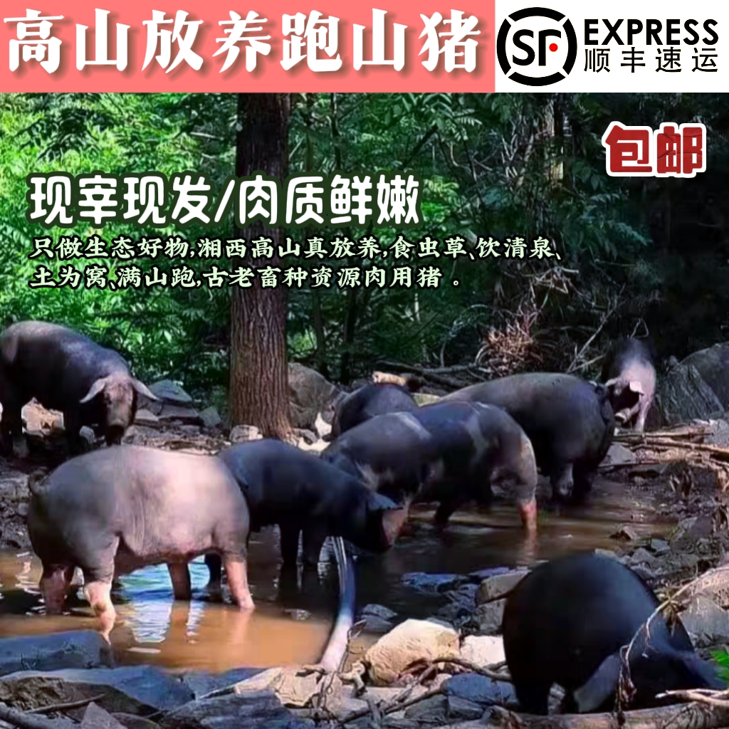 【跑山猪内脏】熟食土猪黑猪顺丰冷链包邮