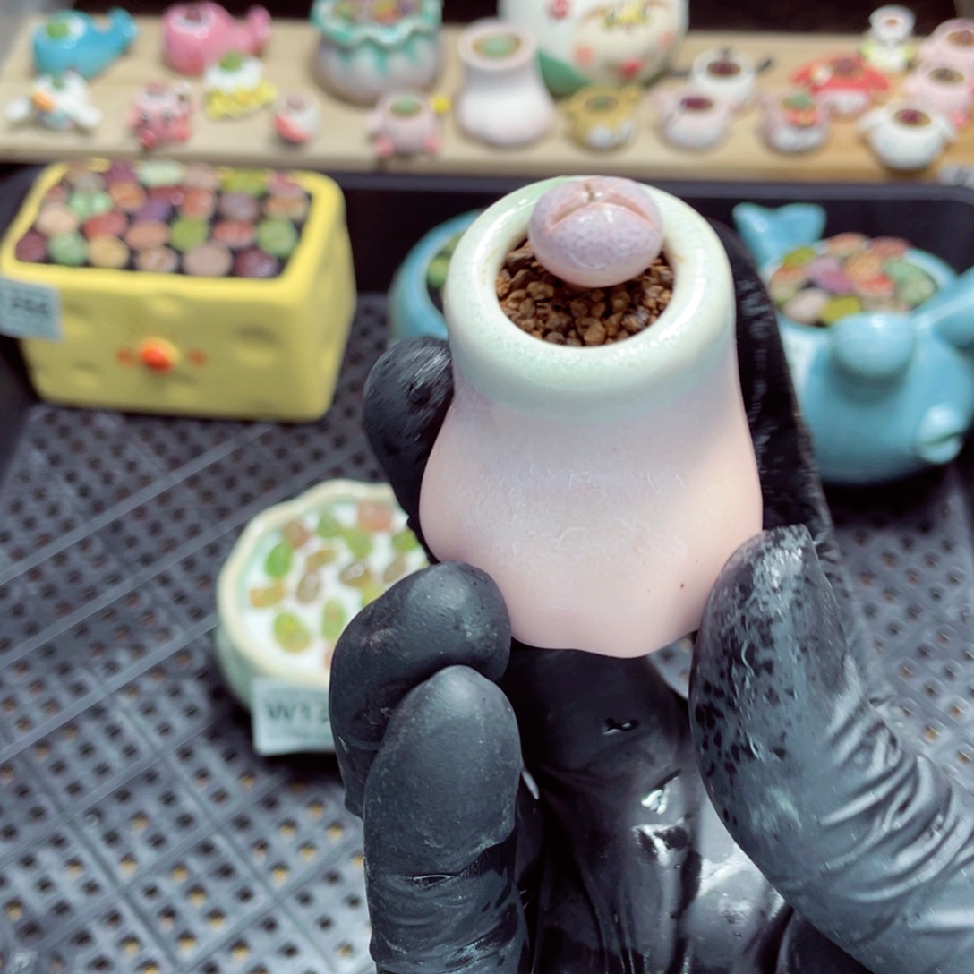 夜间零下地区拍保温箱w1274