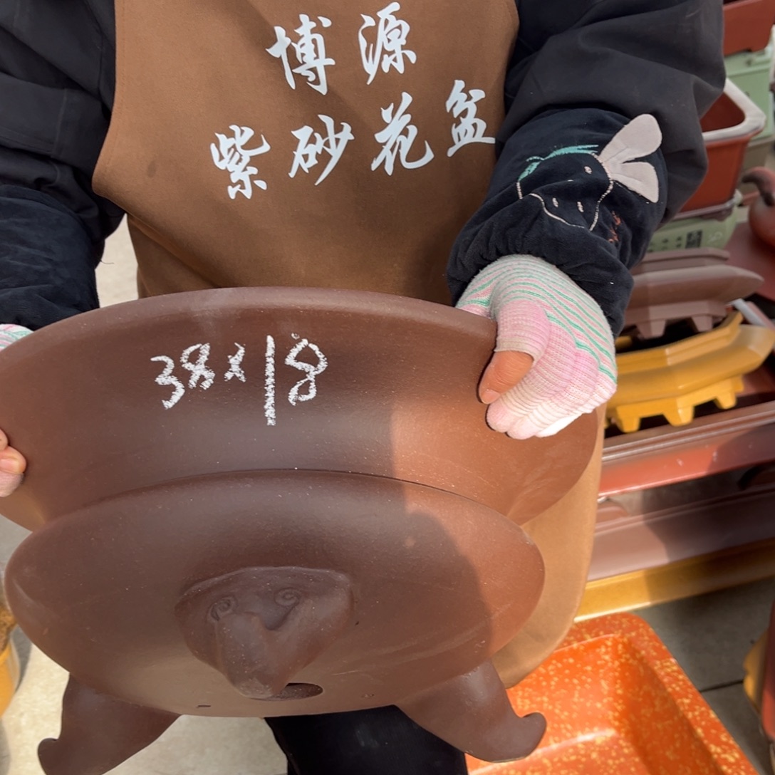 花盆紫砂盆景艺术