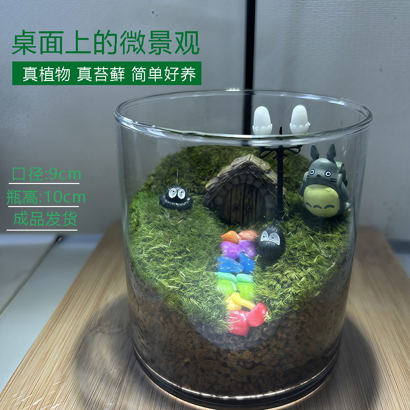 桌面创意微景观生态真植物造景苔藓绿植摆件纯手工成品微景观