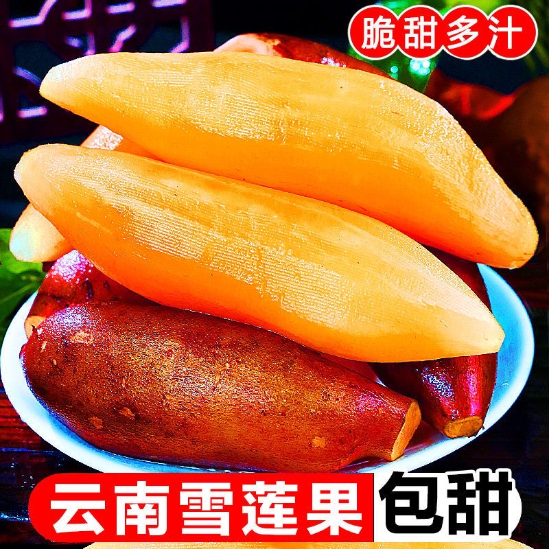 3云南天山雪莲果新鲜应季水果黄心脆甜多汁3-9斤
