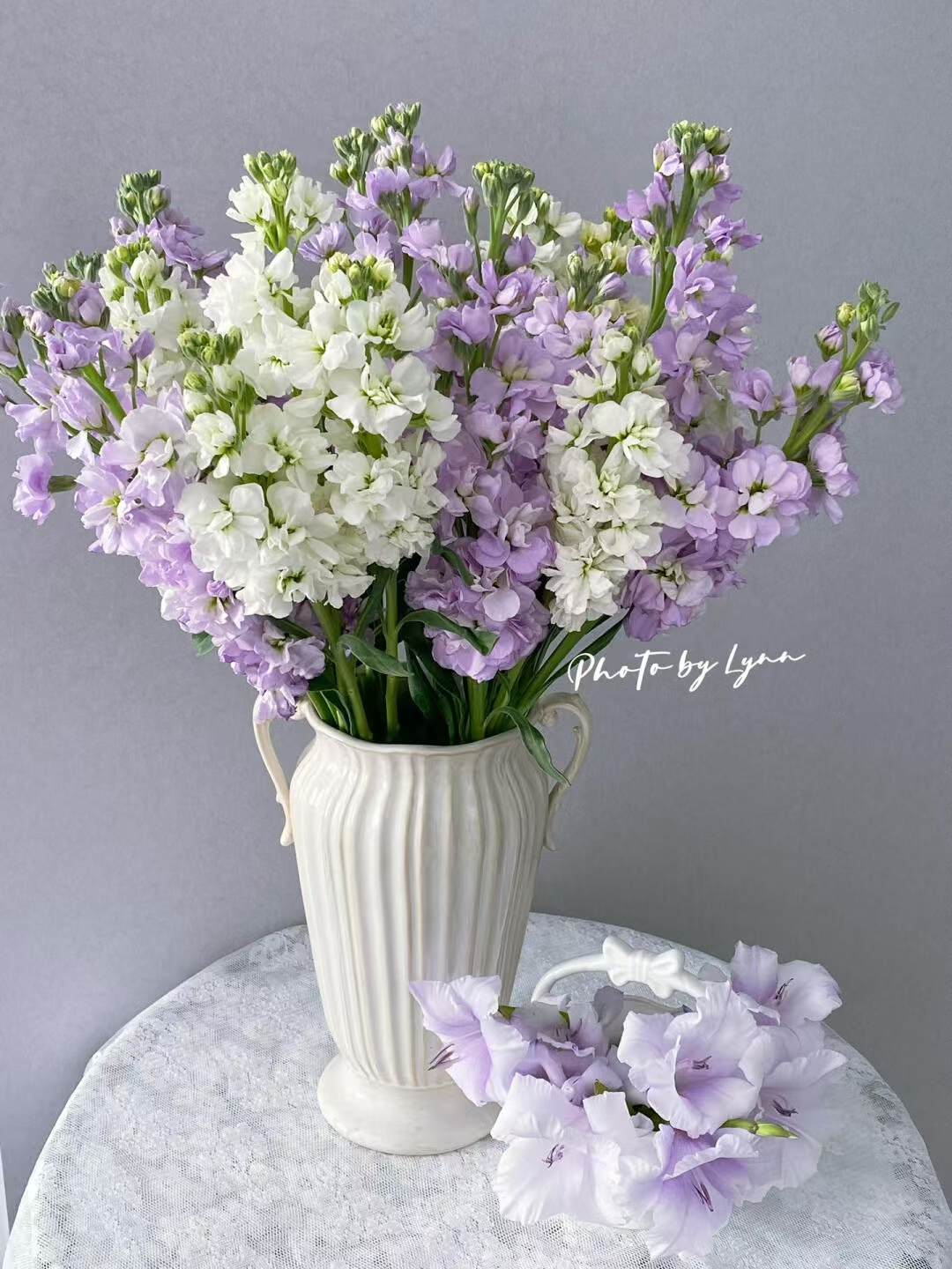 （紫罗兰鲜切花）鲜花云南昆明基地玫瑰采摘发货插瓶养护