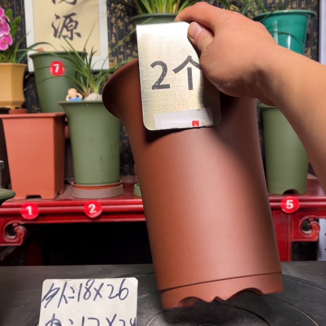 紫砂花盆紫砂花盆