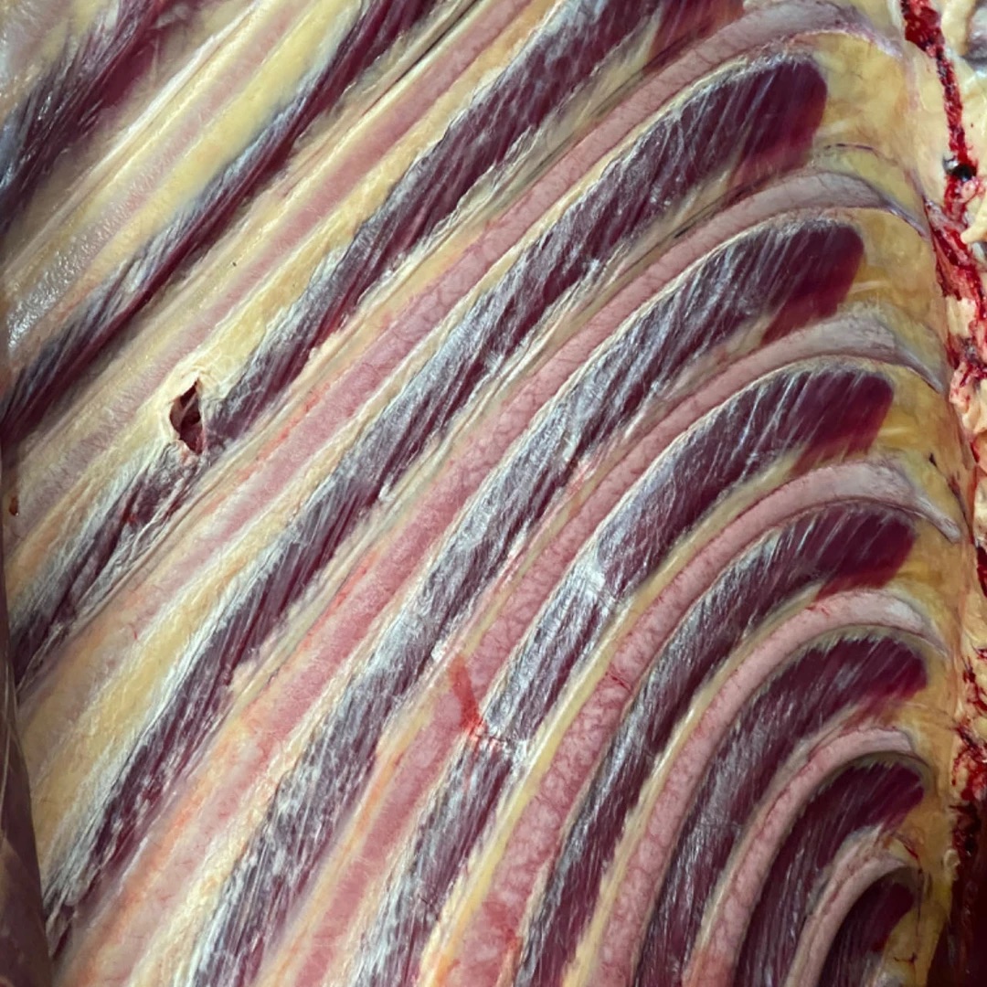 原切牛排青藏牛排新鲜鲜宰5斤冷链包邮到家