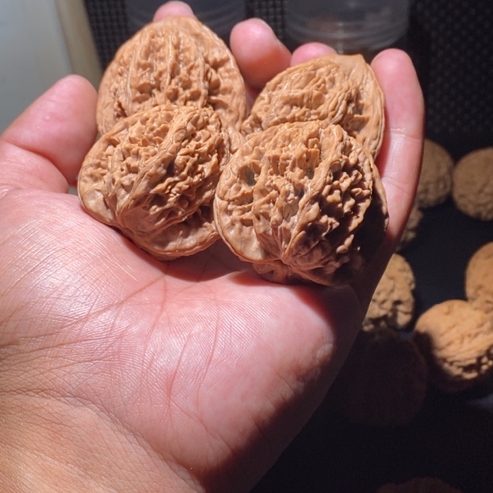 把件文玩核桃Y****r虎头两对