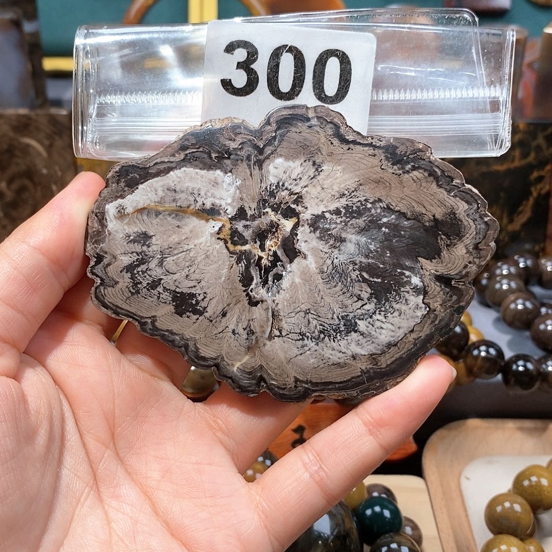 硅化玉天然北票硅化玉原石未镶嵌天然北票硅化玉原石