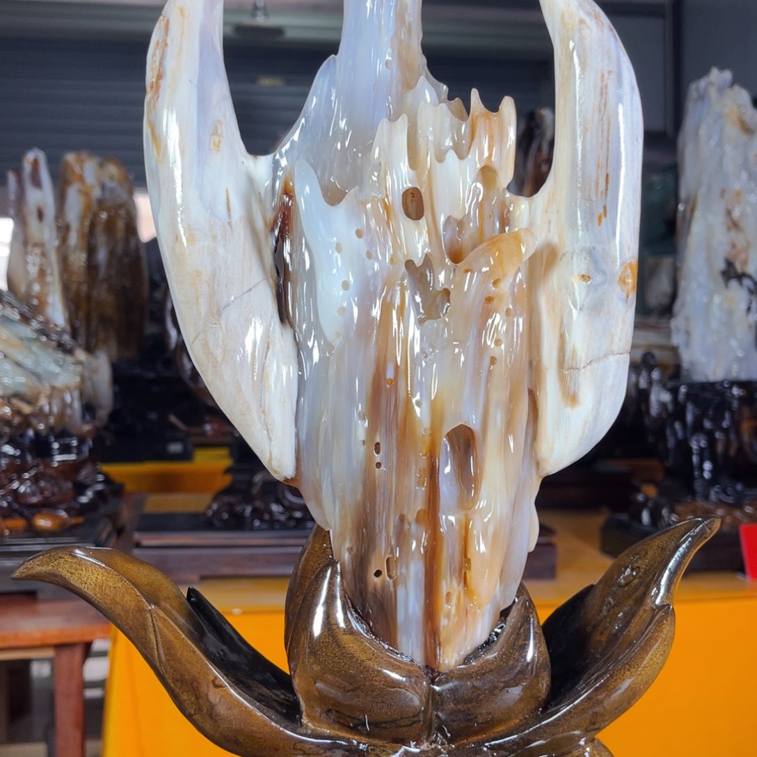 景***辰硅化玉未镶嵌珠宝奇石