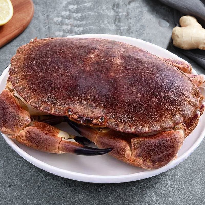 海捕面包蟹顺丰冷链厦门发货次日达