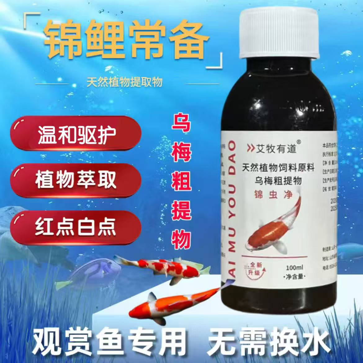 锦虫净锦鲤观赏鱼合缸合池交叉调节水质净化水质