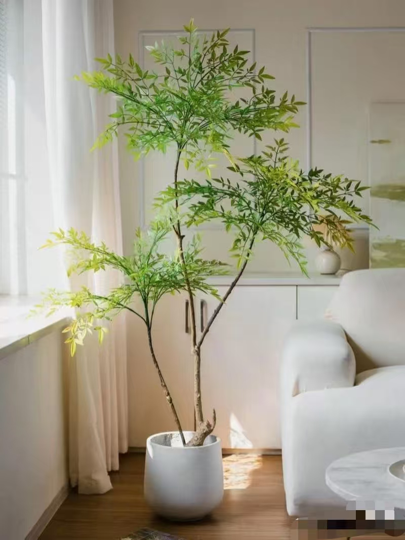 火焰南天竹水培绿植桌面客厅马醉室内高档平替马醉木吊钟好养带根