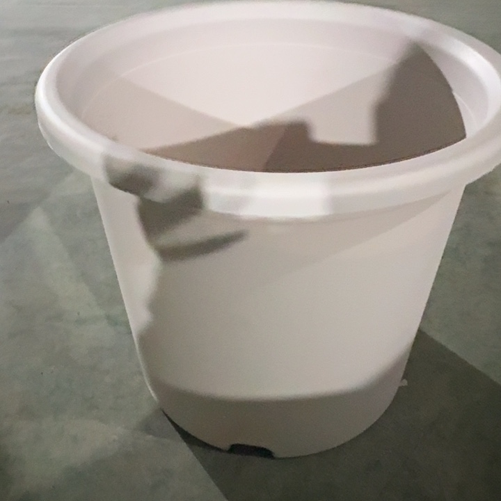 四季9号灰白无托4个特价微瑕