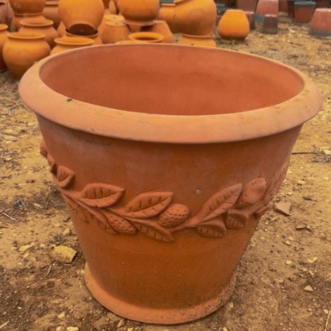 口49高42微瑕橄榄枝